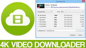 4K Video Downloader Crack Key 2021 3